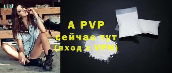 индика Пролетарск