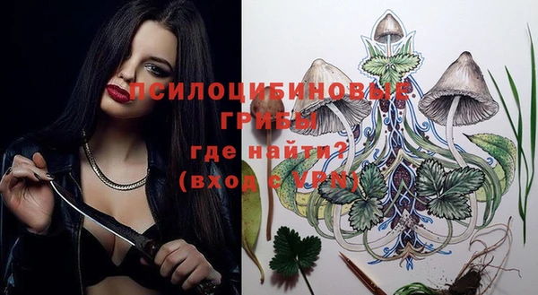 крисы Арсеньев